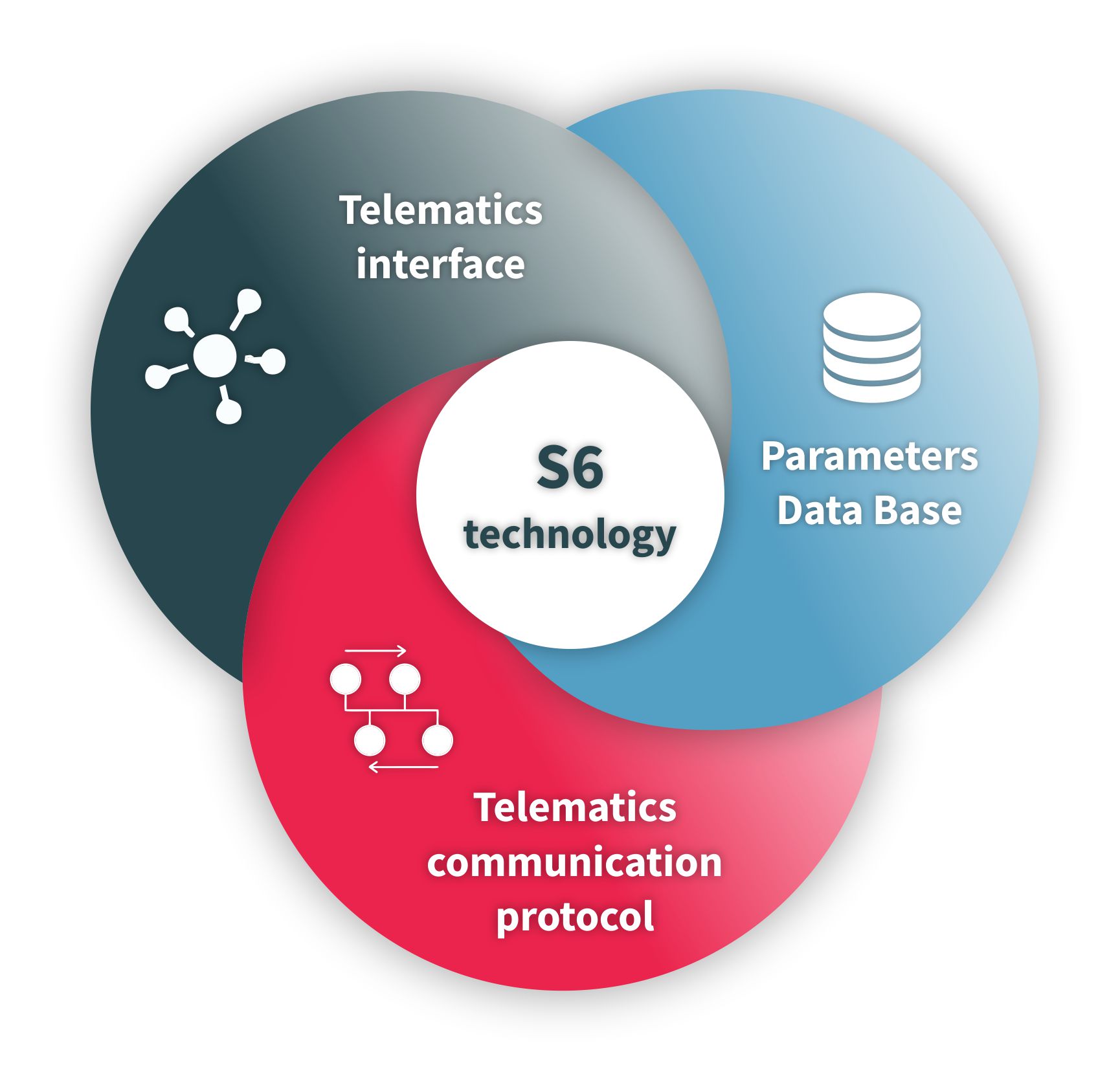 Elements of S6 technology